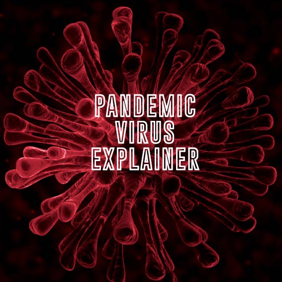 Pandemic Virus Explainer